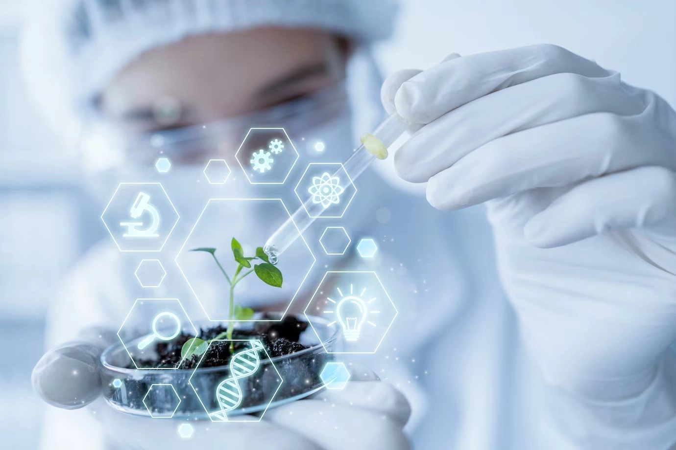 A researcher in protective equipment pipetting onto a seedling in a petri dish
